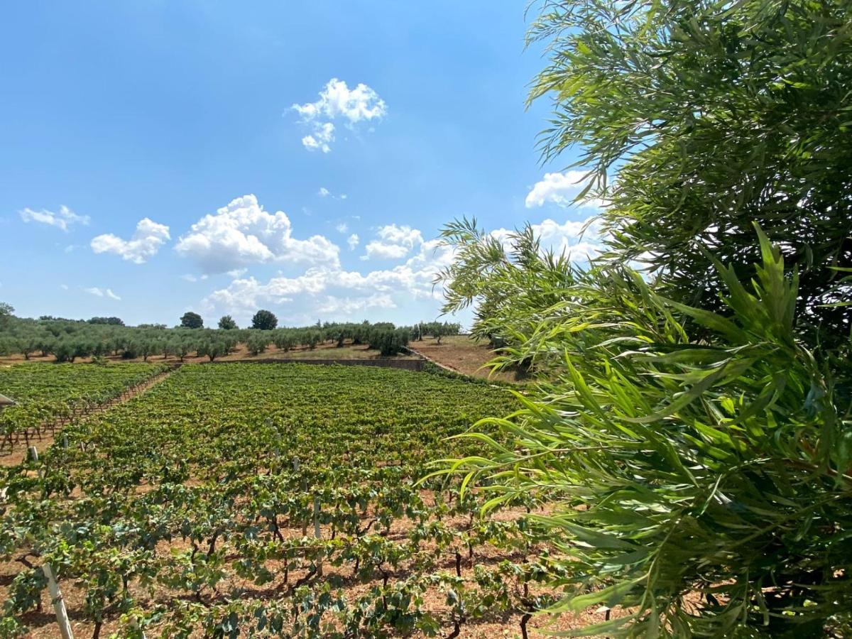 Tenuta Montanaro Locorotondo Dış mekan fotoğraf